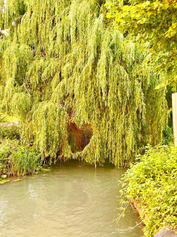 Colmar Cote Rhin Lägenhet Biesheim Exteriör bild